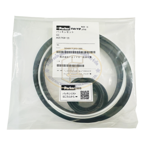 AA2R/PKSW-125 PACKING SET